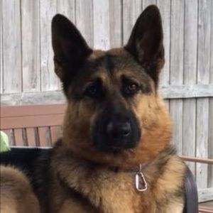 Meet your Posher, Dan